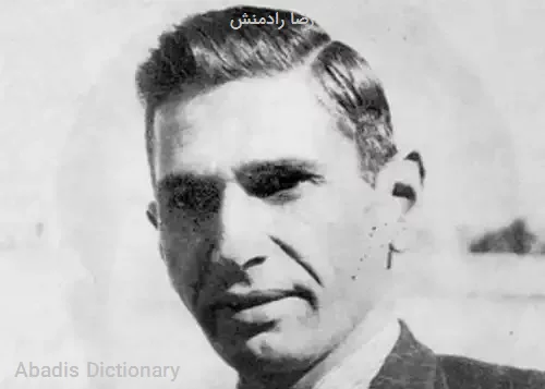 رضا رادمنش